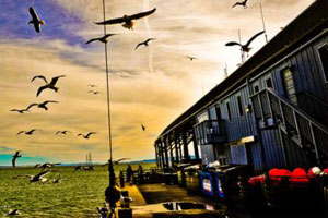 手机号在线轰炸测试